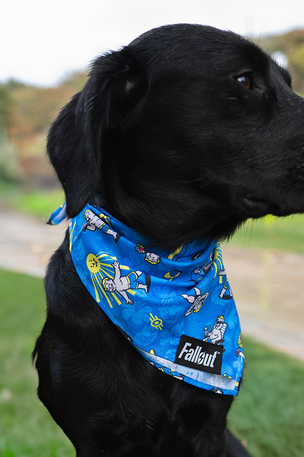 Fallout Wasteland Companion Pet Bandana Set - Image 10