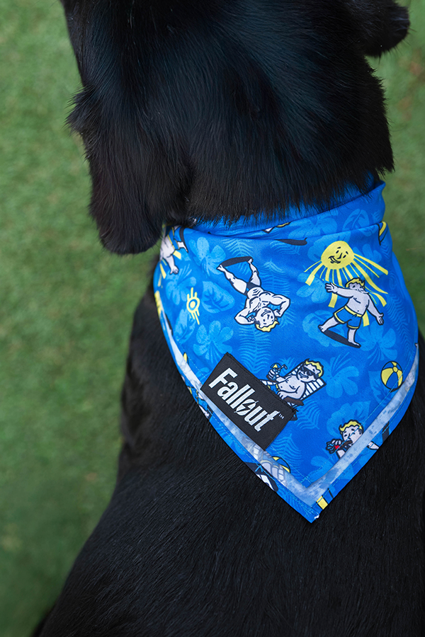 Fallout Wasteland Companion Pet Bandana Set - Image 11