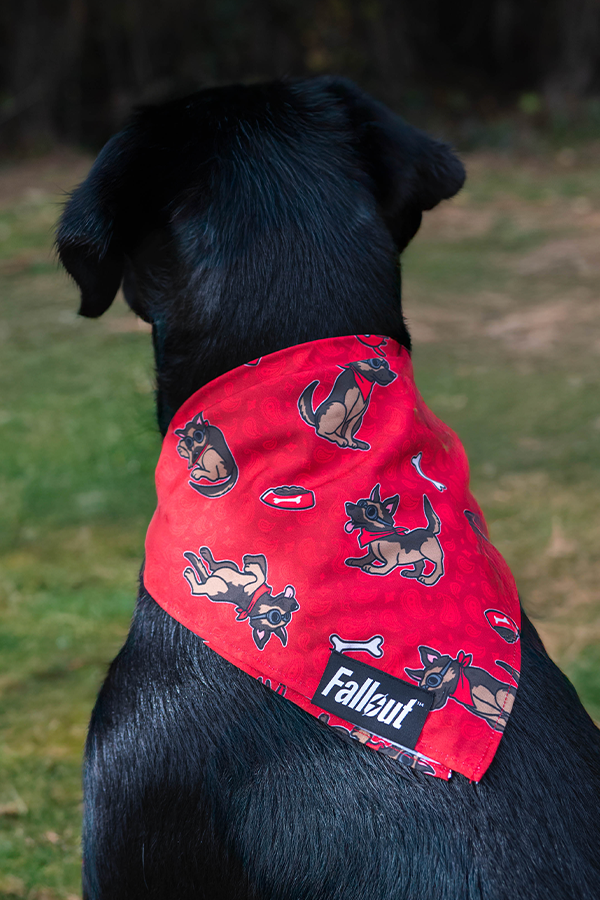 Fallout Wasteland Companion Pet Bandana Set - Image 12