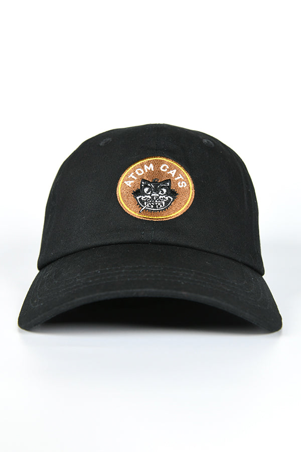 Alternative view of Fallout Atom Cats Dad Hat