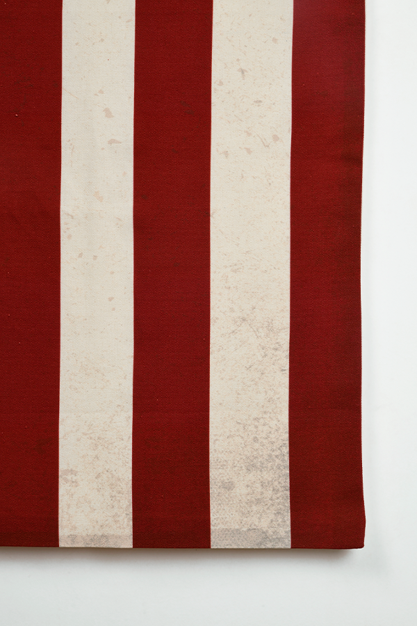 Fallout Brotherhood of Steel Canvas Banner - Image 7