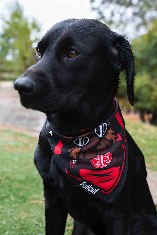 Fallout Wasteland Companion Pet Bandana Set - Image 7