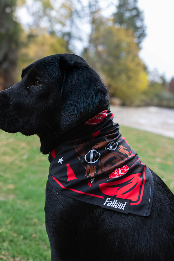 Fallout Wasteland Companion Pet Bandana Set - Image 8