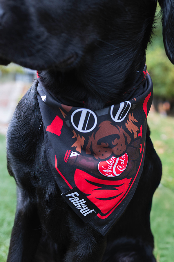 Fallout Wasteland Companion Pet Bandana Set - Image 9