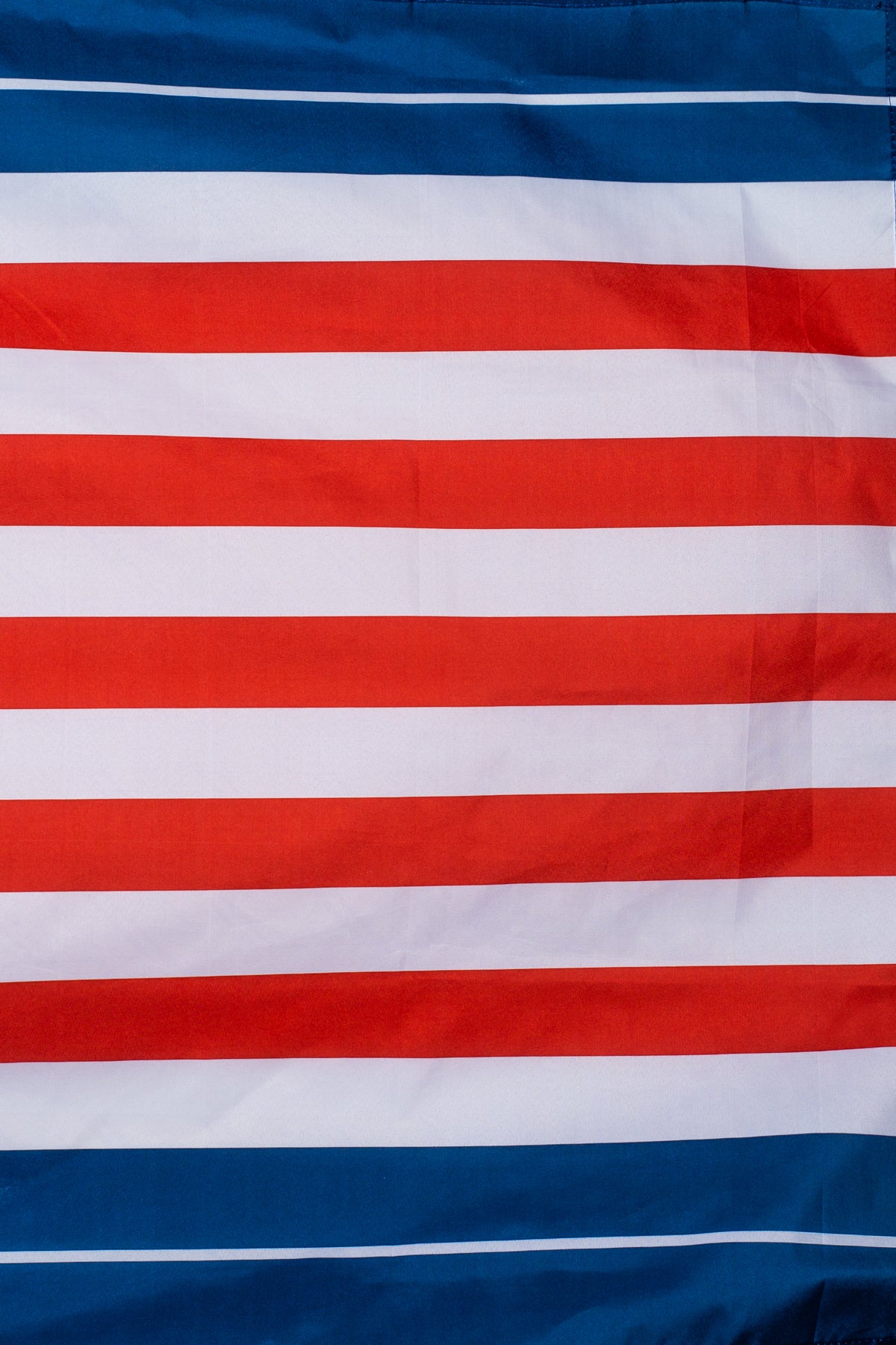Minutemen Flag - Image 2